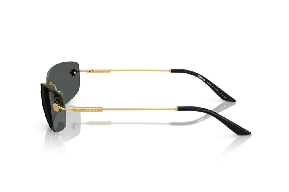 Versace Sunglasses VE2279-100287