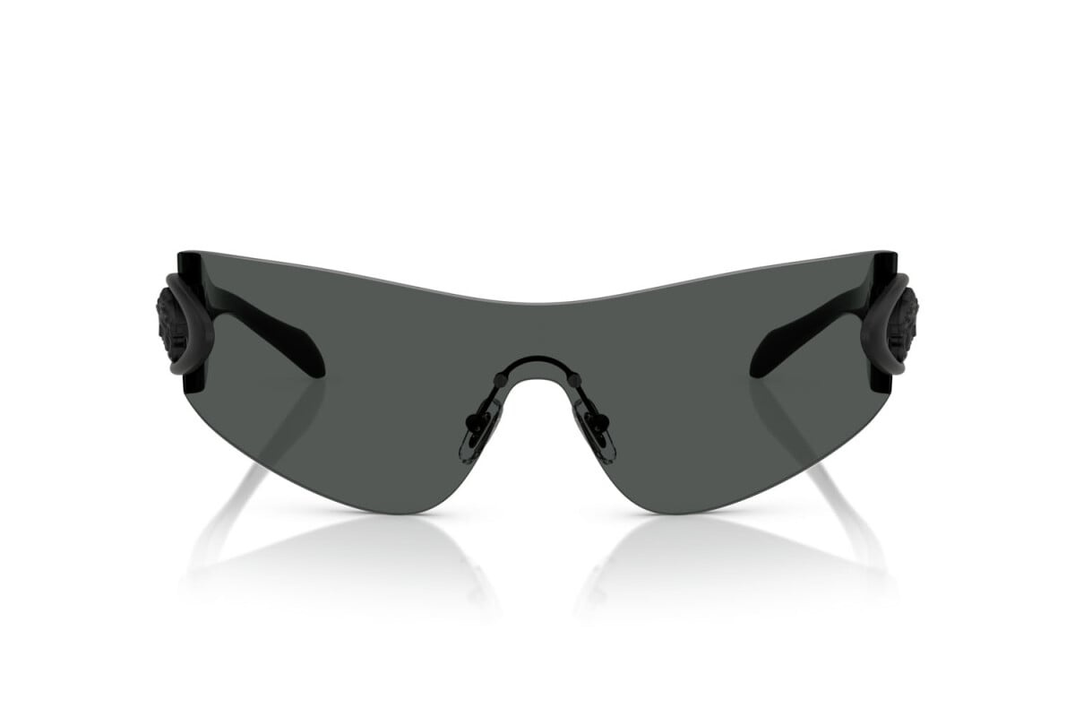 Versace Sunglasses VE2280-143687