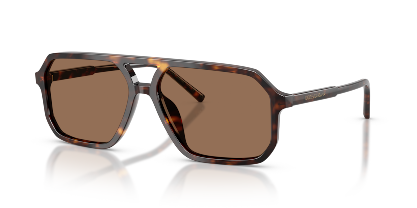 Dolce & Gabbana Sunglasses DG4541-502/73