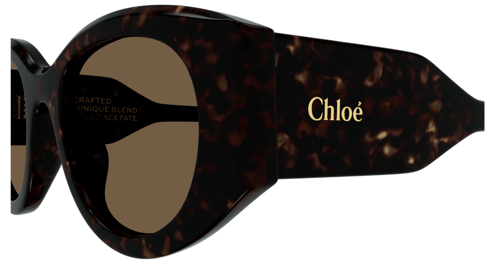 Chloe Sunglasses CH0251S-002