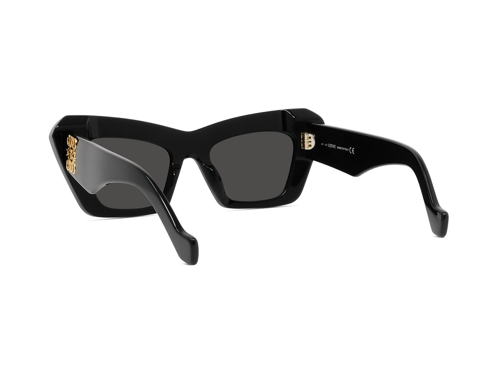 Loewe Sunglasses LW40036I-5101A