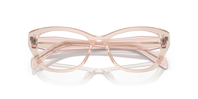 Prada Optical frame PR19WV-15J1O1