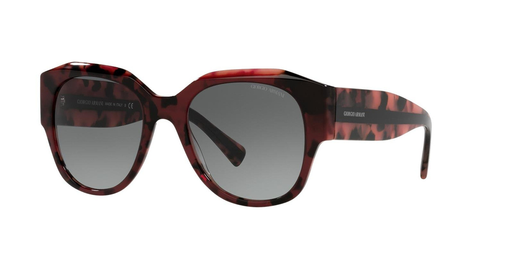 Giorgio Armani Sunglasses AR8140-586811