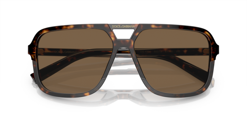 Dolce & Gabbana Sunglasses DG4354-502/73