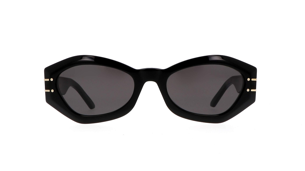 Dior Sunglasses DIORSIGNATURE (B1U_10A0) CD40139U-01A