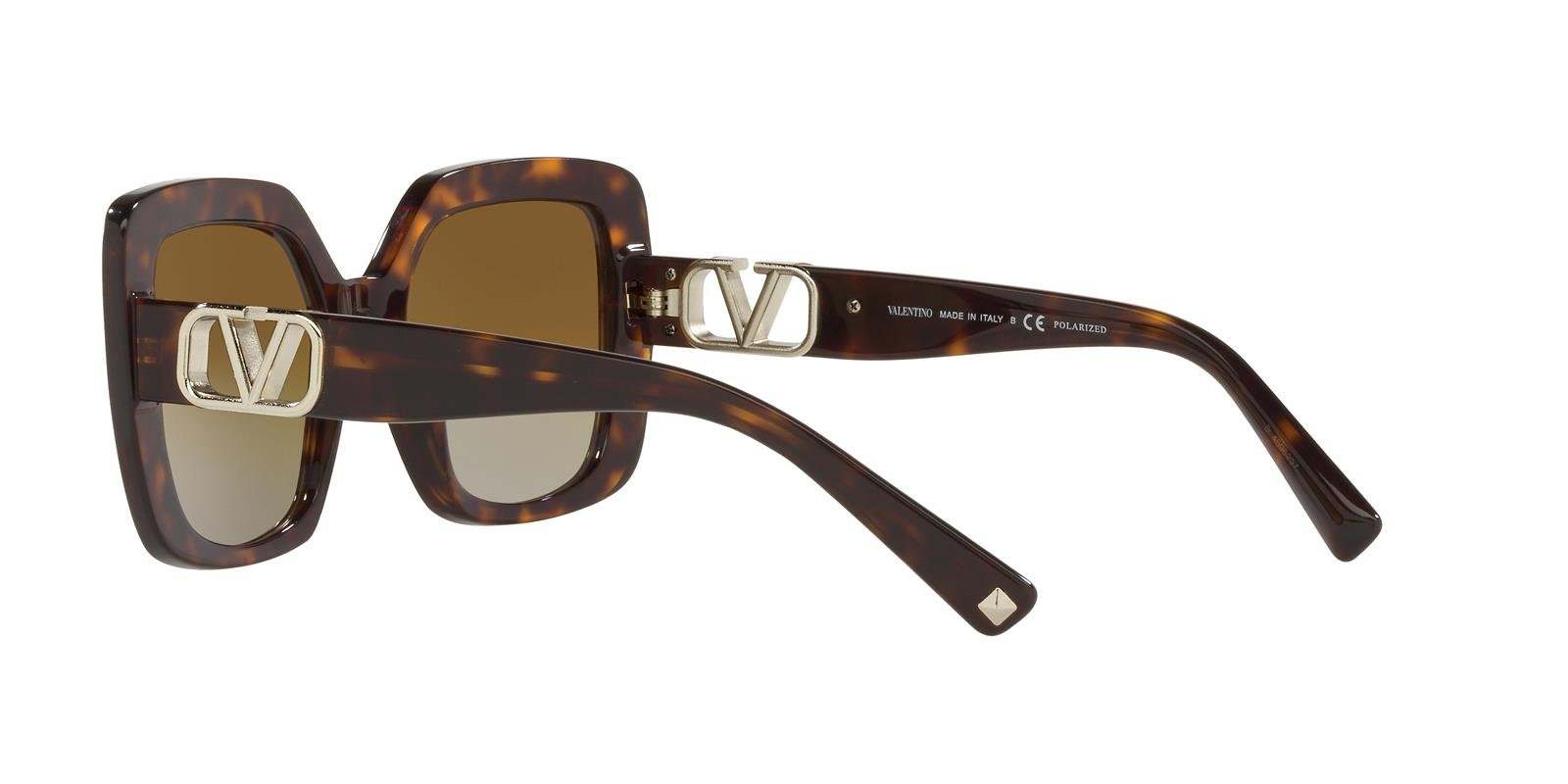 Valentino Sunglasses VA4065-5002T5