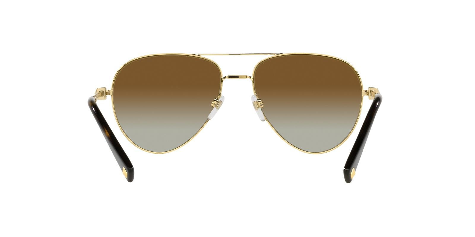 Valentino Sunglasses VA2034-3002T5