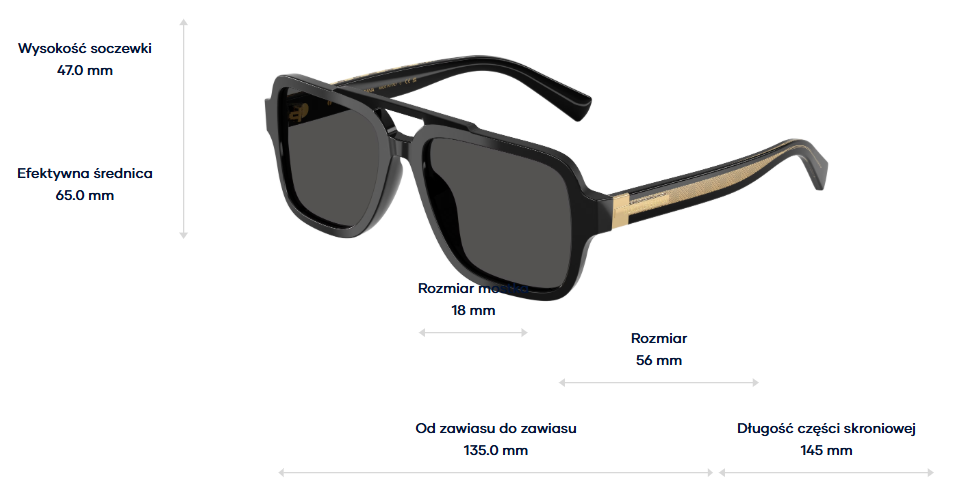Dolce & Gabbana Sunglasses DG4544-501/87