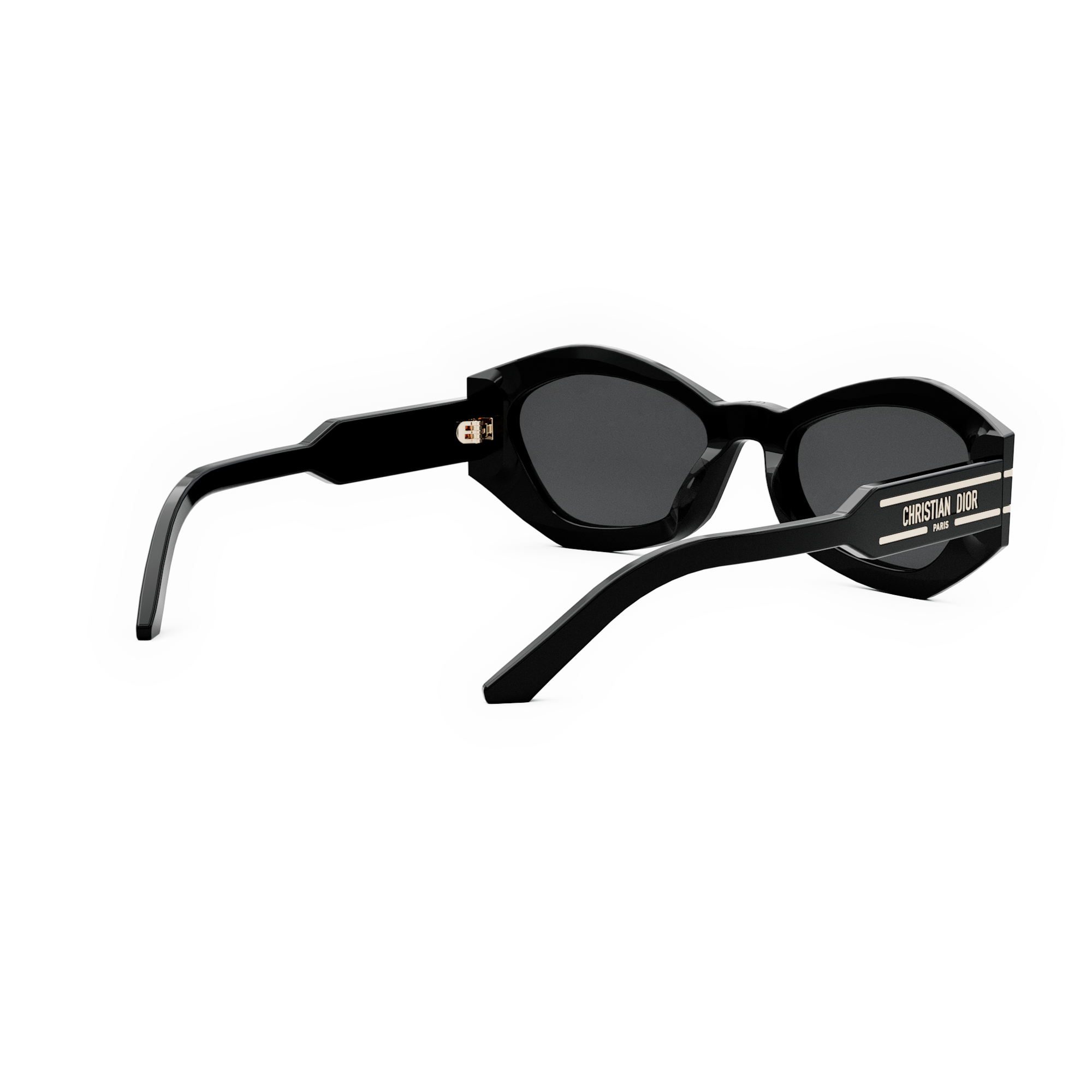 Dior Sunglasses DIORSIGNATURE (B1U_10A0) CD40139U-01A