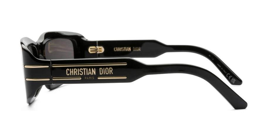 Dior Sunglasses DIORSIGNATURE (S9U_10A0) CD40134I-01A