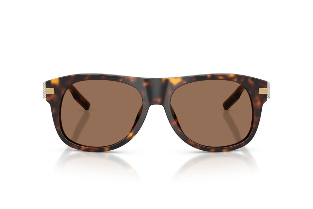 Dolce & Gabbana Sunglasses DG4546-502/73