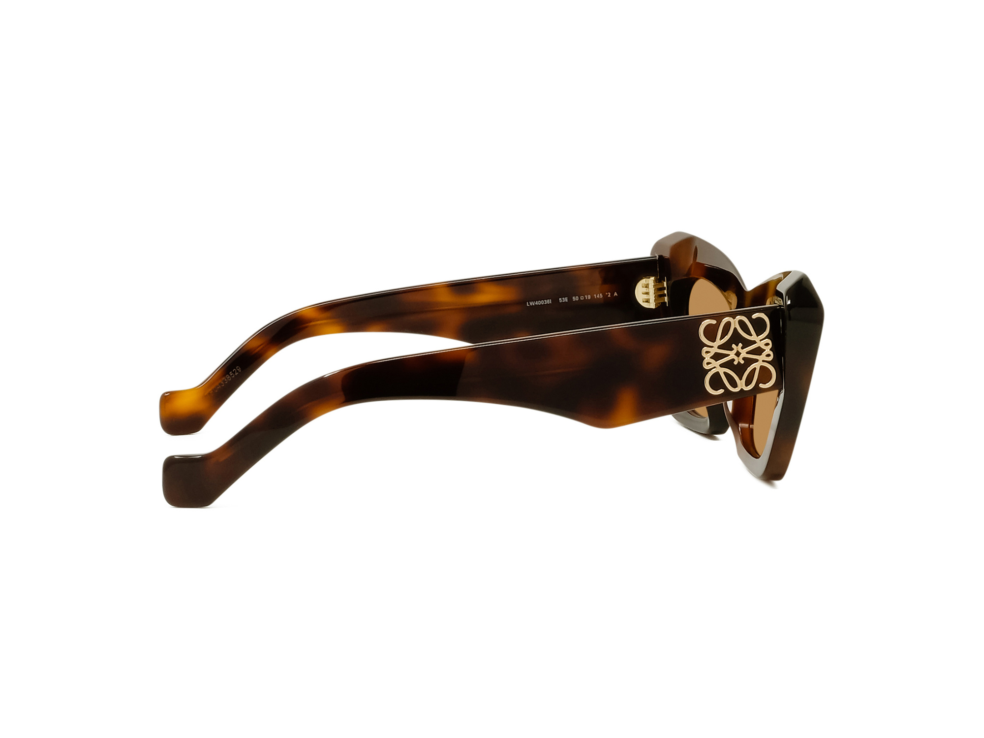 Loewe Sunglasses LW40036I-5153E