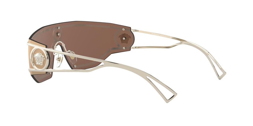 Versace Sunglasses VE2226-12527P