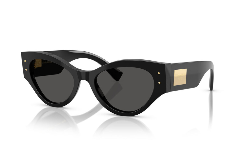 Dolce & Gabbana Sunglasses DG4480-501/87