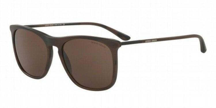 GIORGIO ARMANI Sunglasses AR8076-549573