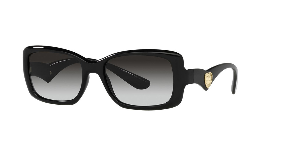 Dolce & Gabbana Sunglasses DG6152-501/8G