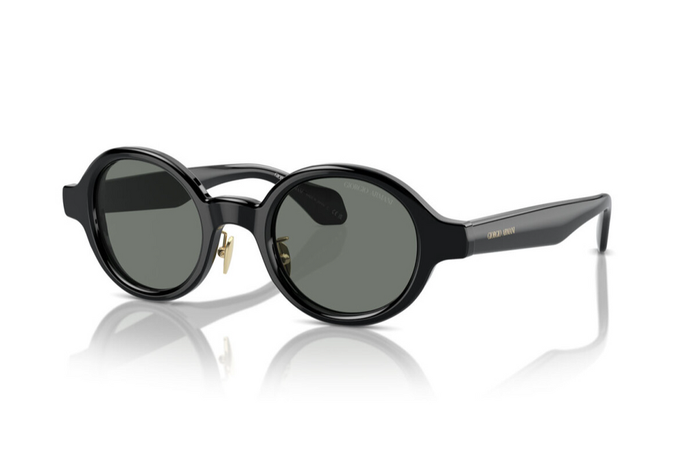 Giorgio Armani Sunglasses AR8205-6060/1