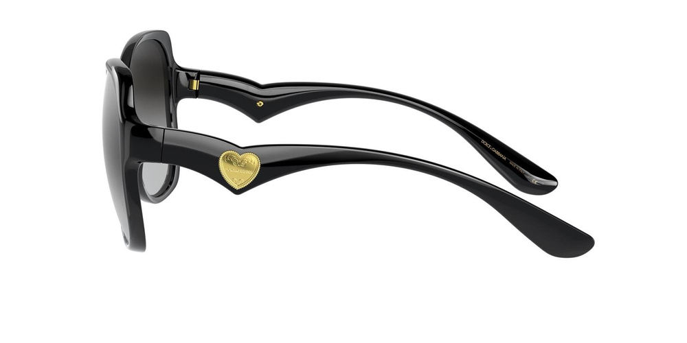 Dolce & Gabbana Sunglasses DG6154-501/8G