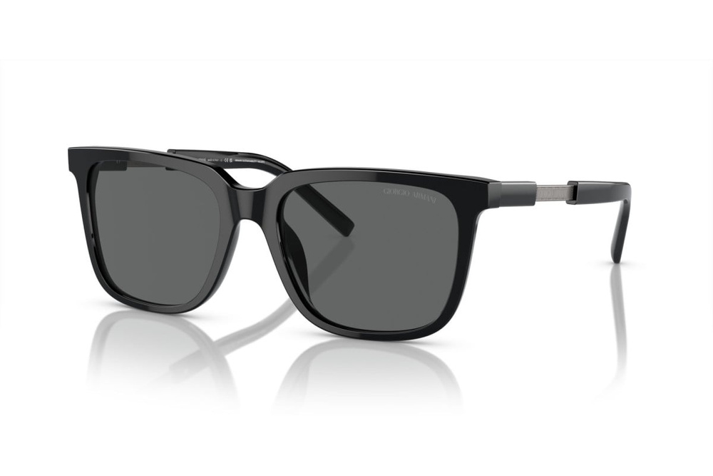 Giorgio Armani Sunglasses AR8202U-587587