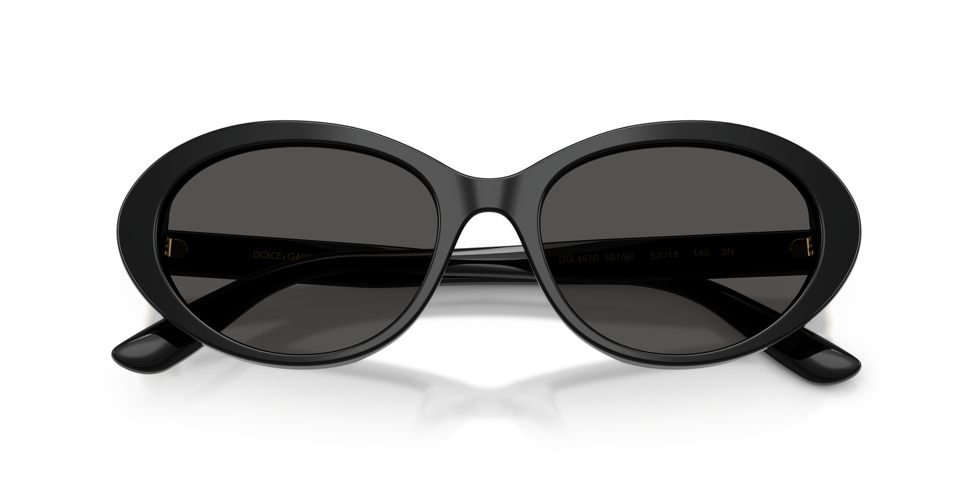 DOLCE & GABBANA Sunglasses DG4570-501/87