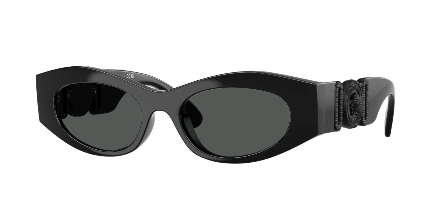 Versace Sunglasses VE4480U-536087