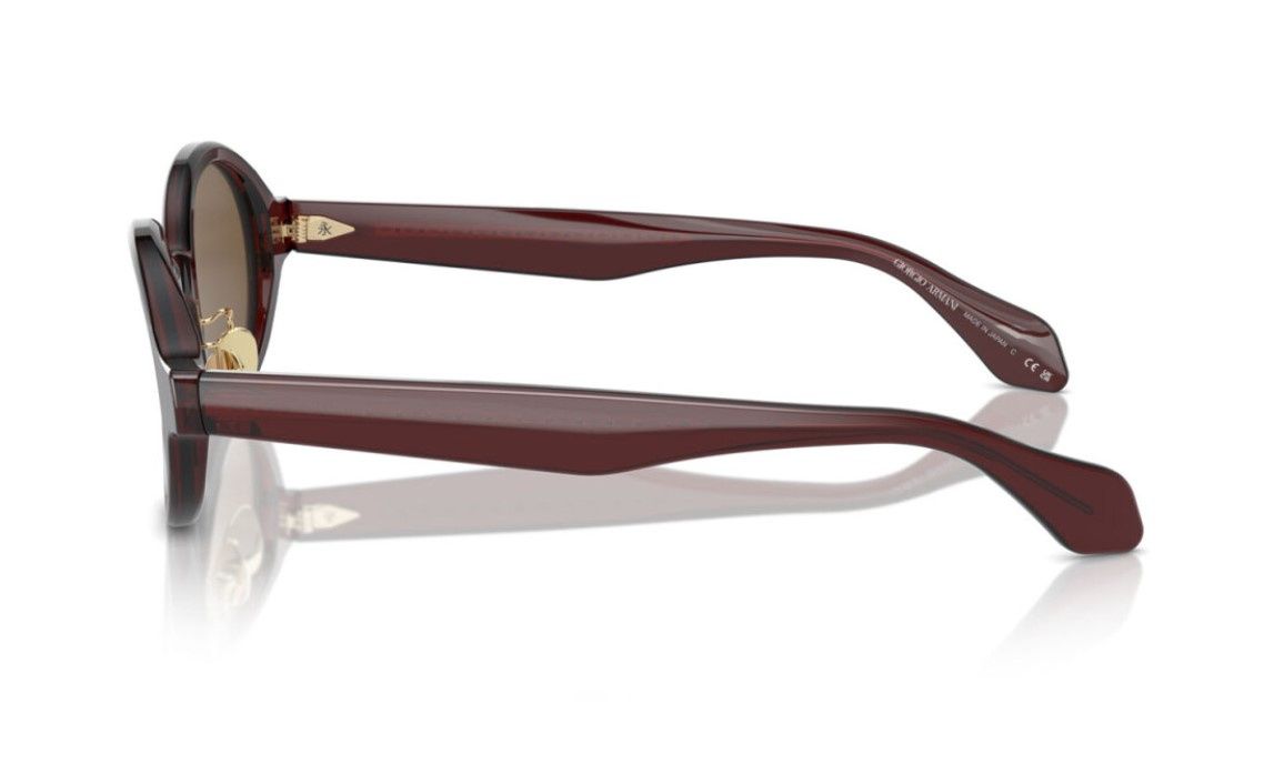 Giorgio Armani Sunglasses AR8205-606273