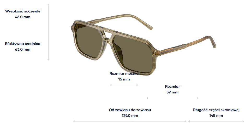 Dolce & Gabbana Sunglasses DG4541-3480/3