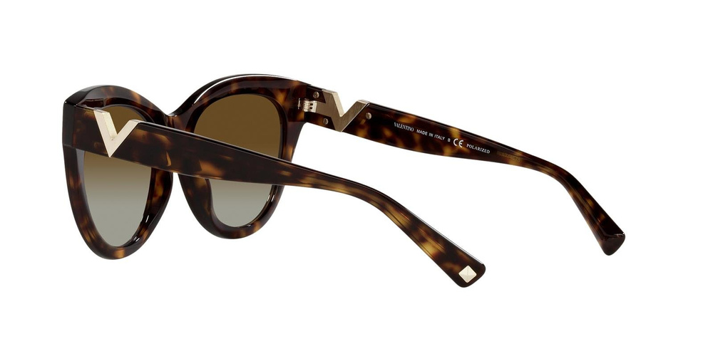Valentino Sunglasses VA4089-5002T5