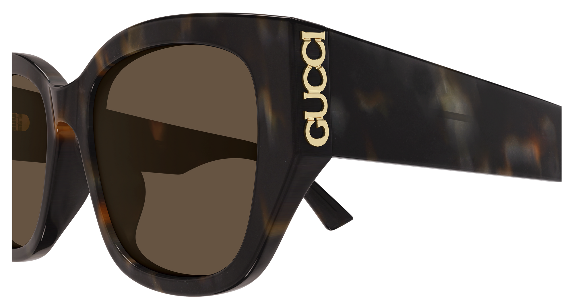 Gucci Sunglasses GG2043SA-003
