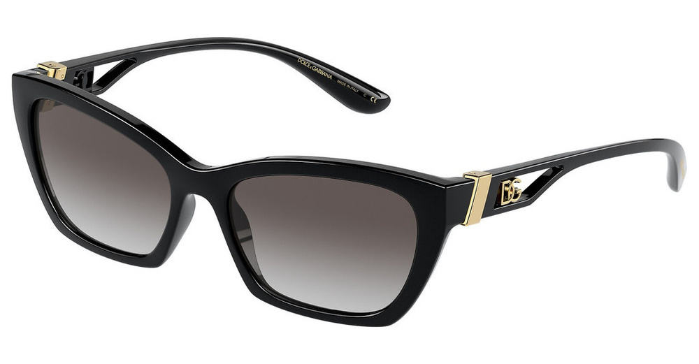 Dolce & Gabbana Sunglasses DG6155-501/8G