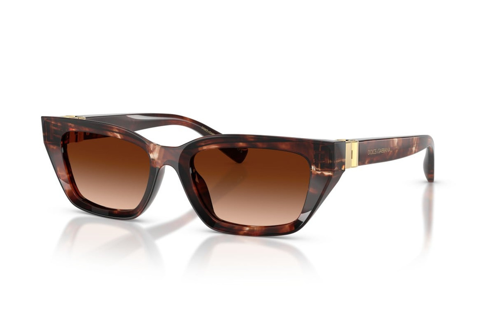 Dolce & Gabbana Sunglasses DG4532-322274