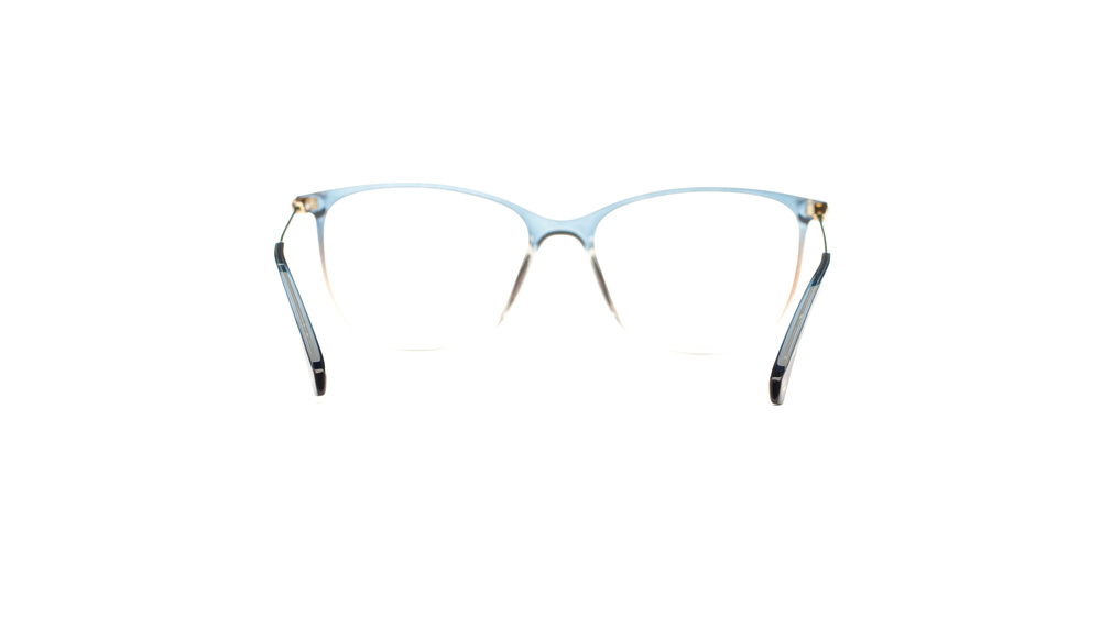Ana Hickmann Optical frame AH4006T-C01