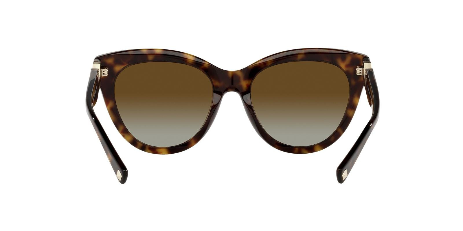 Valentino Sunglasses VA4089-5002T5