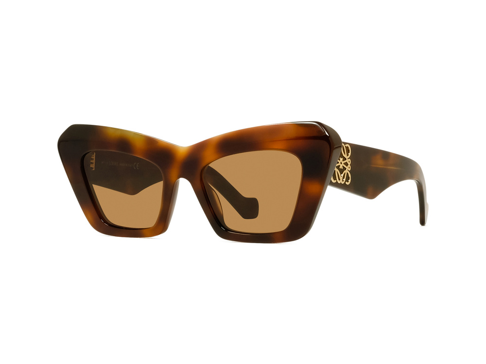 Loewe Sunglasses LW40036I-5153E