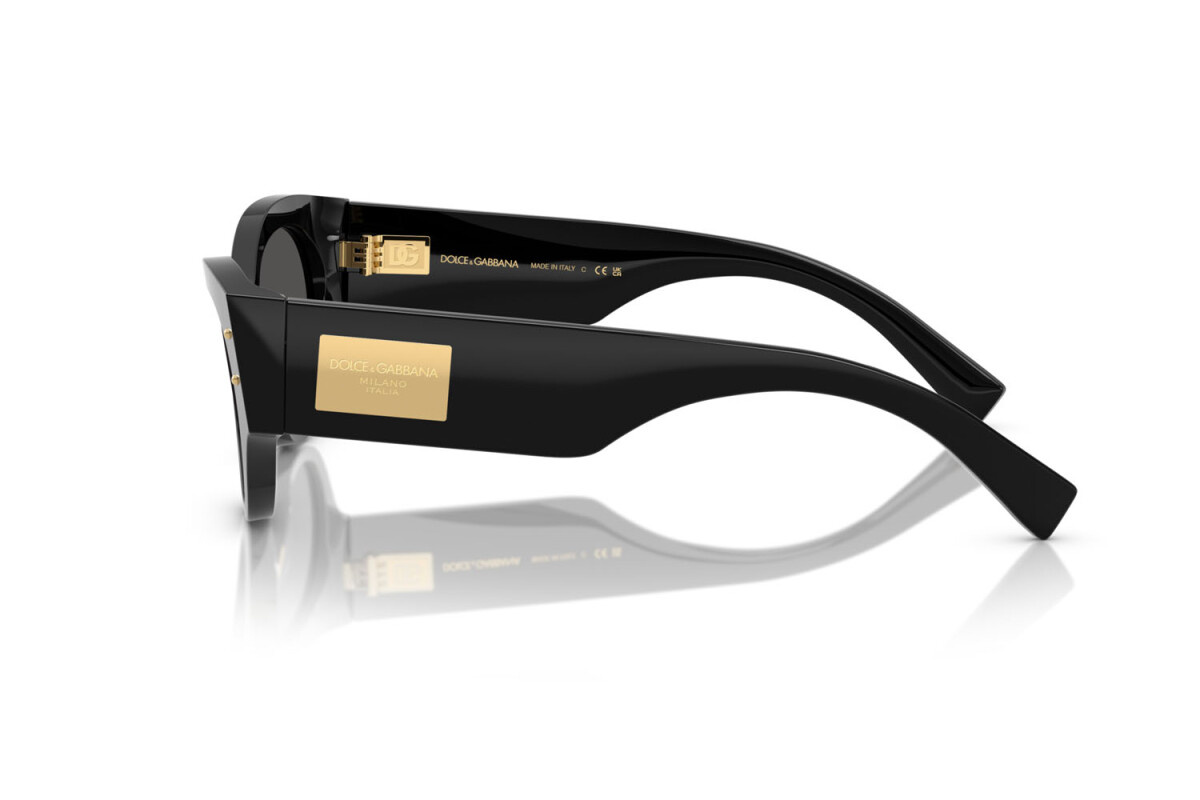 Dolce & Gabbana Okulary przeciwsłoneczne DG4480-501/87