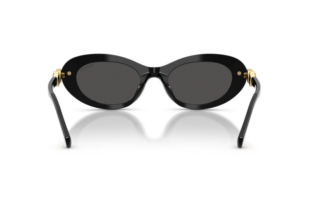 Swarovski Okulary przeciwsłoneczne SK6042-100187