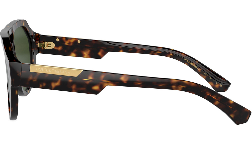 Dolce & Gabbana Sunglasses DG4466-502/71