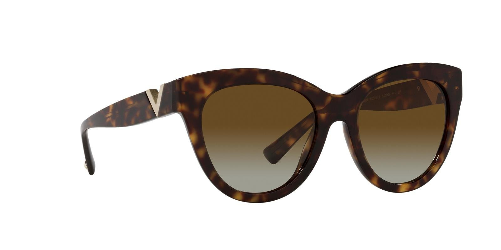 Valentino Sunglasses VA4089-5002T5