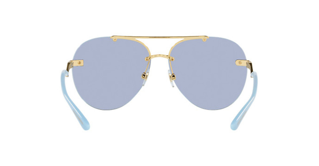 Dolce & Gabbana Sunglasses DG2272-02/72