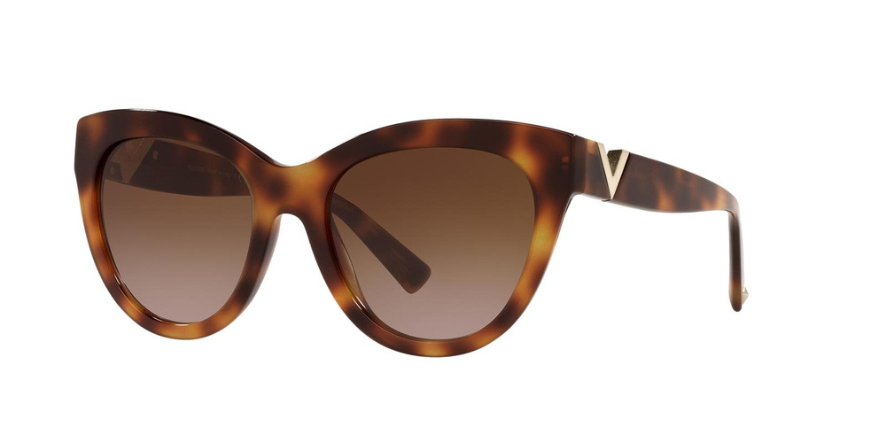 Valentino Sunglasses VA4089-501113