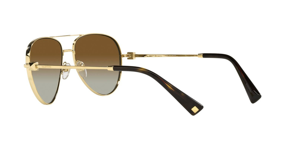 Valentino Sunglasses VA2034-3002T5