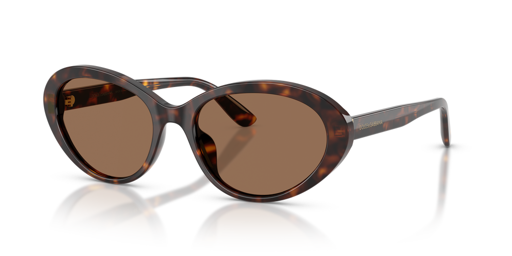 DOLCE & GABBANA Sunglasses DG4570-502/73