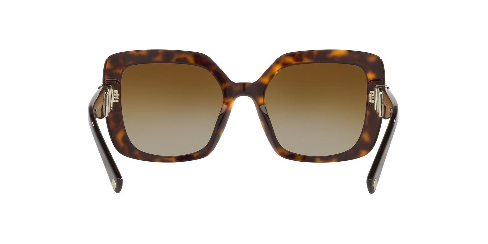 Valentino Sunglasses VA4065-5002T5