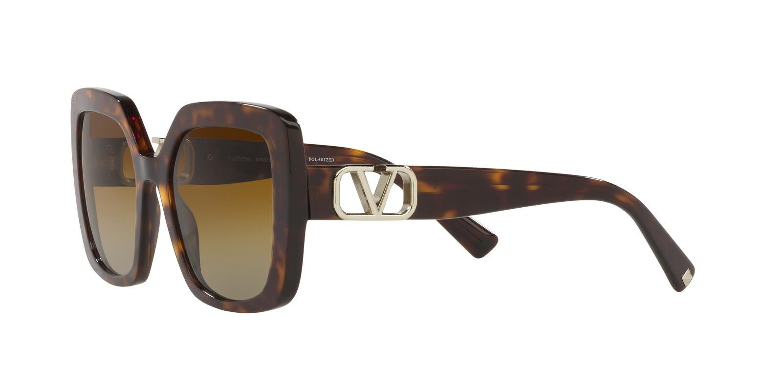 Valentino Sunglasses VA4065-5002T5