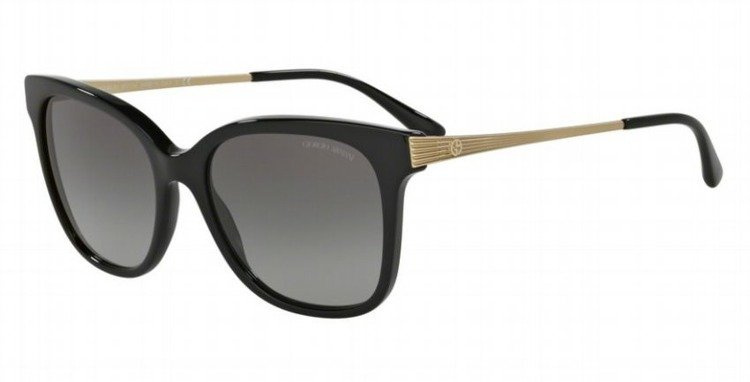 Giorgio Armani Sunglasses  AR8074-501711