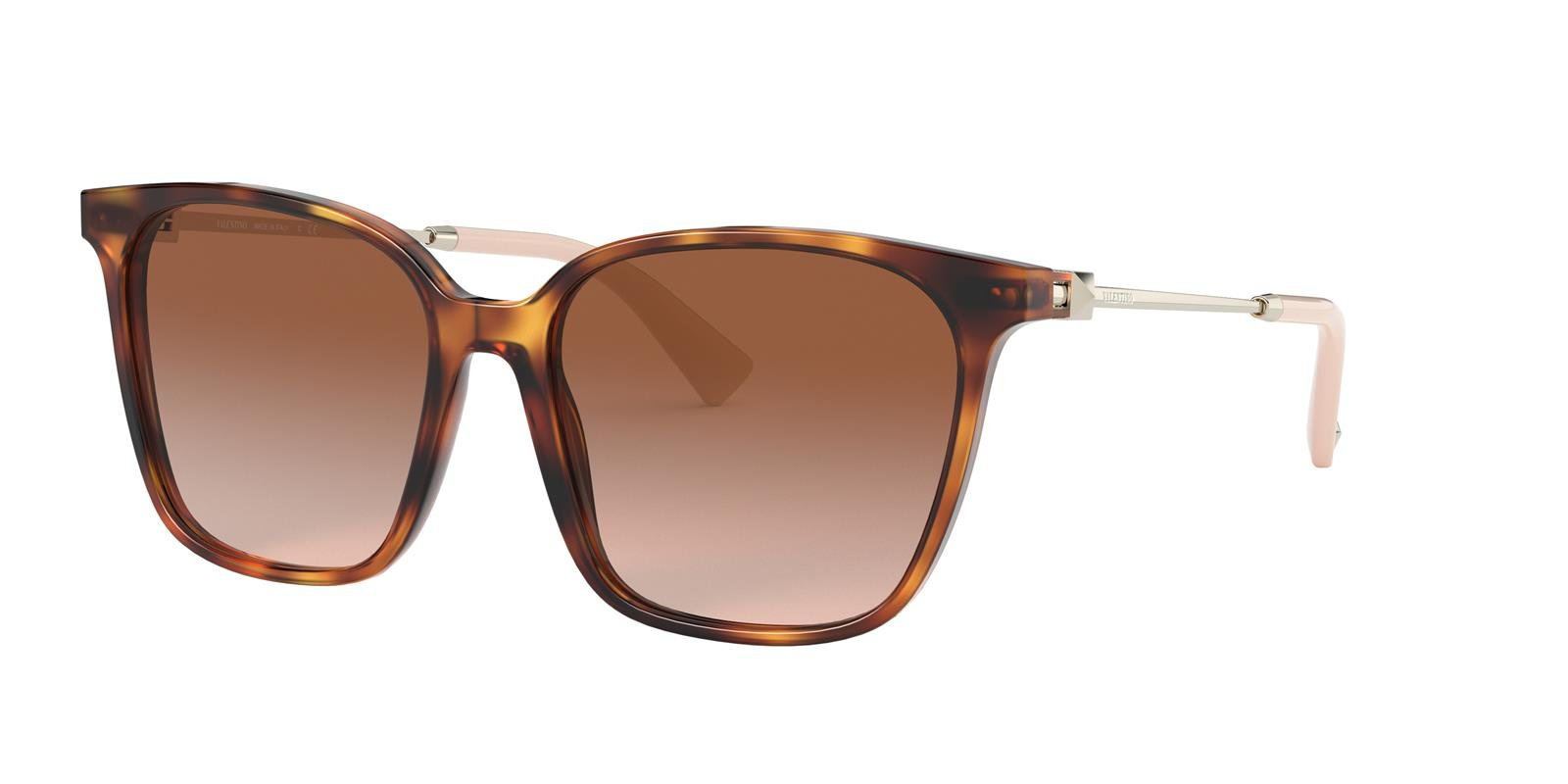 Valentino Sunglasses VA4078-501113