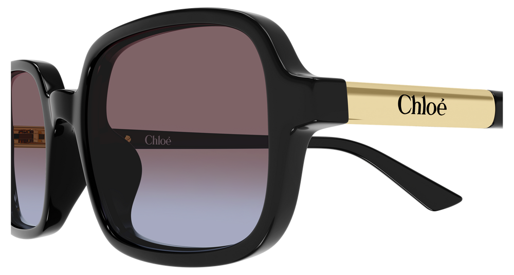 Chloe Sunglasses CH0363S-001 