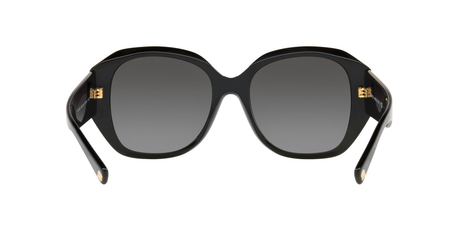 Valentino Sunglasses VA4079-5001T3