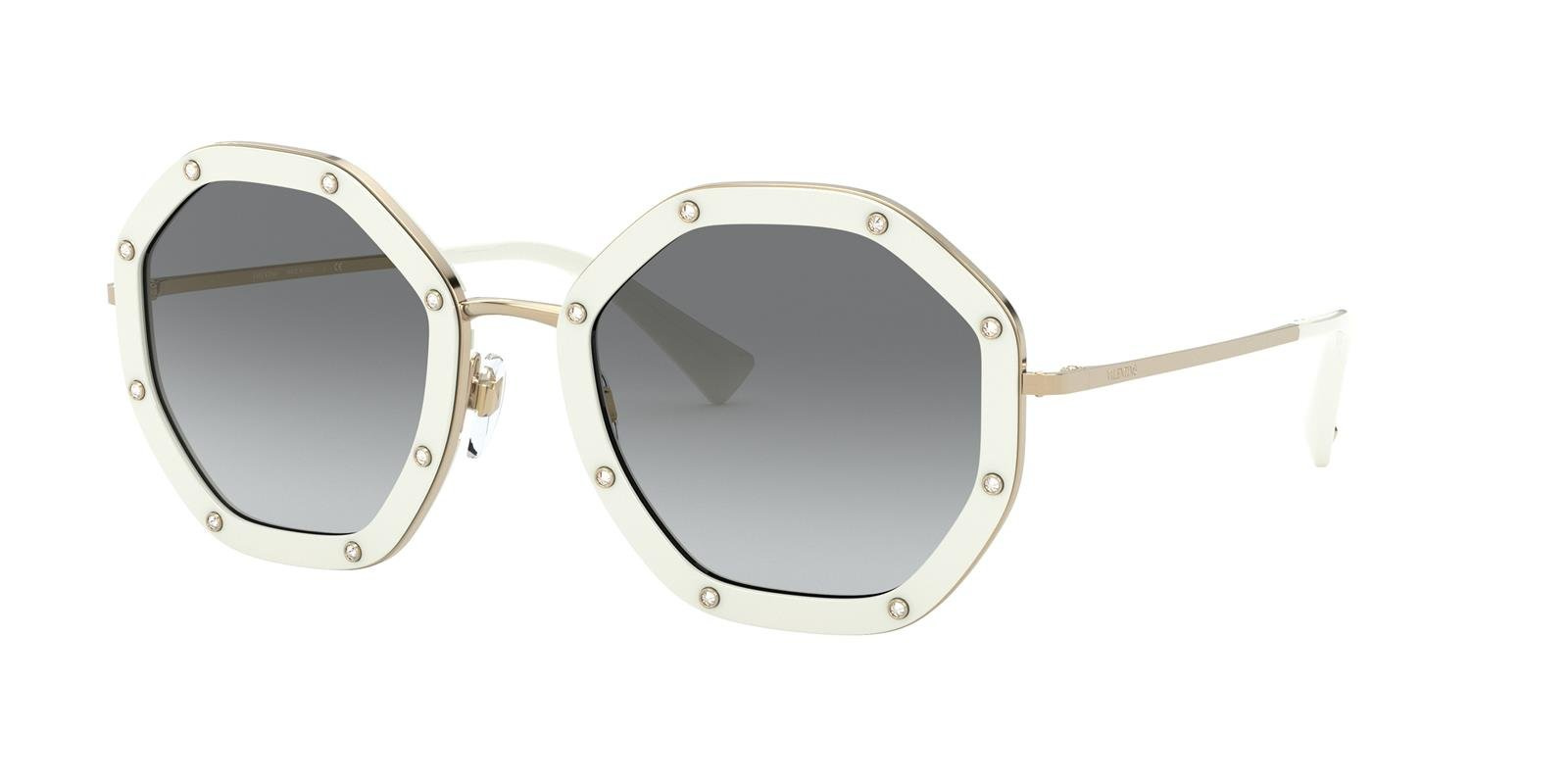 Valentino Sunglasses VA2042-300211