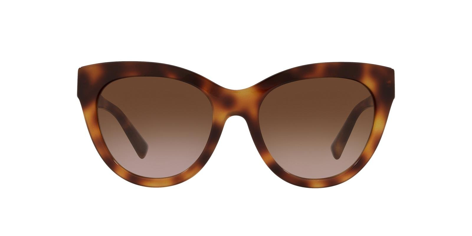 Valentino Sunglasses VA4089-501113
